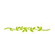 CTFカラー・お茶カラー